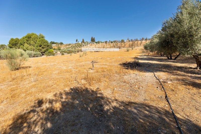 Plot for sale Pinos Puente, Granada. Ref: 1059. Montalvo Grupo Inmobiliario