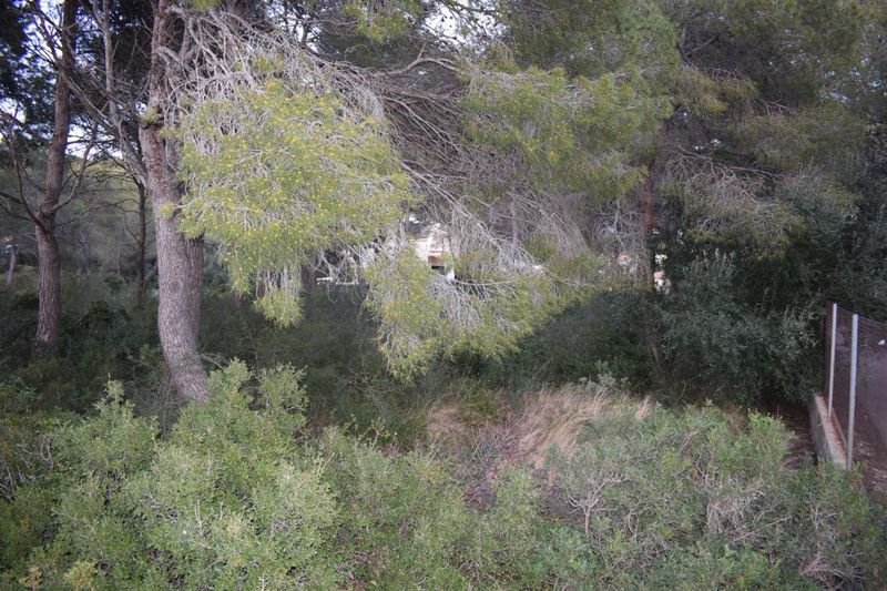 Parcela en venta Cunit, Tarragona. Ref: 2333. Mundoglobal