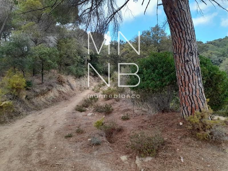 Plot for sale Arenys de Munt, Barcelona. Ref: 1195. Munne Blanco