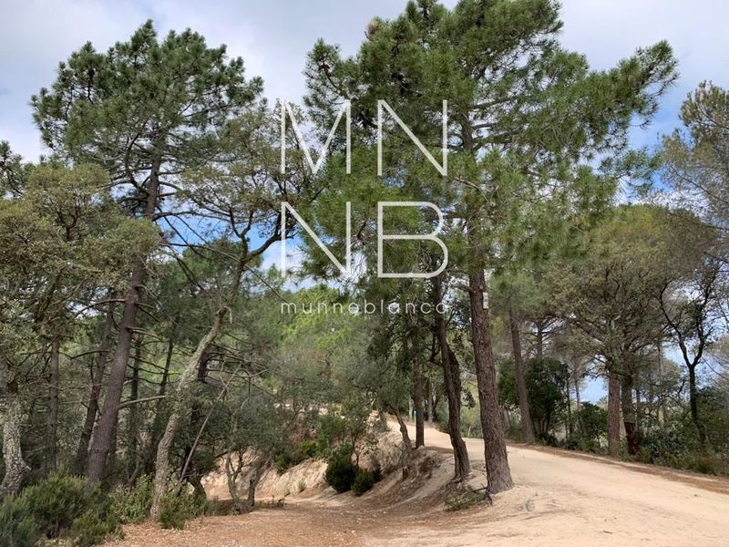 Parcela en venta Arenys de Munt, Barcelona. Ref: 1195. Munne Blanco