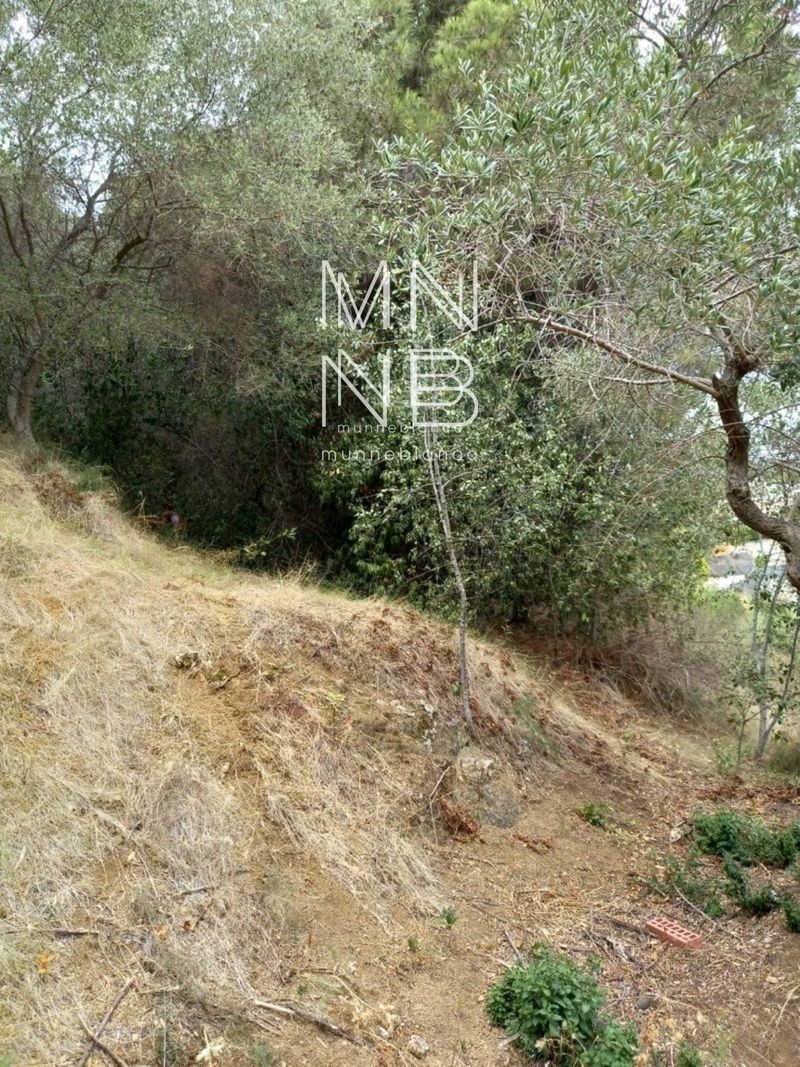 Parcela en venta Sant Andreu de Llavaneres, Barcelona. Ref: 1251. Munne Blanco