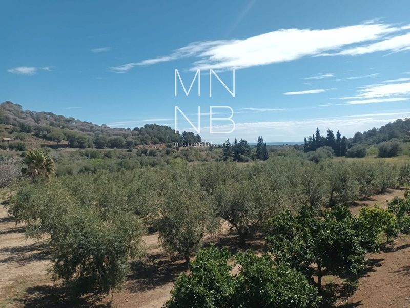 Parcela en venta Riudecanyes, Tarragona. Ref: 1276. Munne Blanco