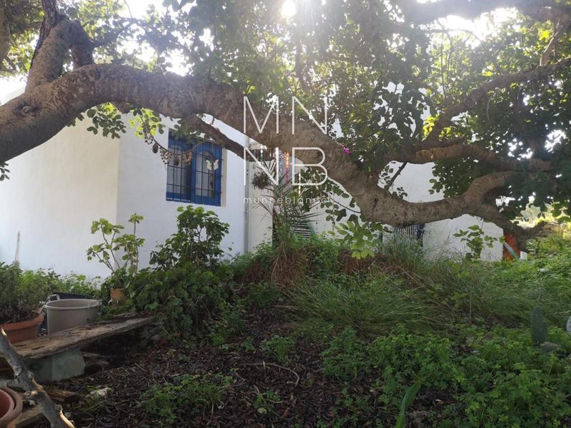 Adosado en venta Sant Francesc De Formentera, Baleares. Ref: 1498. Munne Blanco