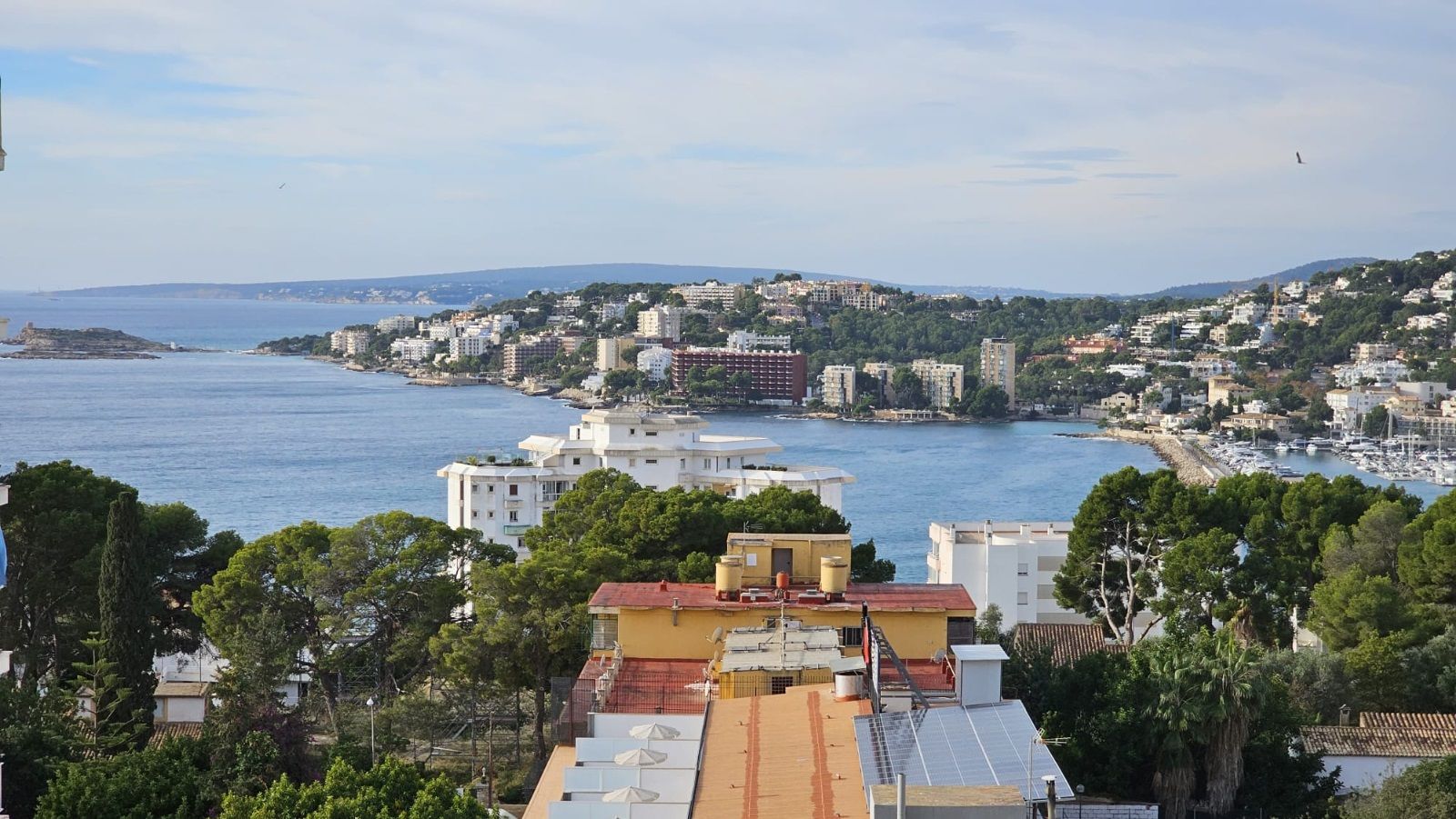 Espectacular estudio con vistas al mar en Cala Major