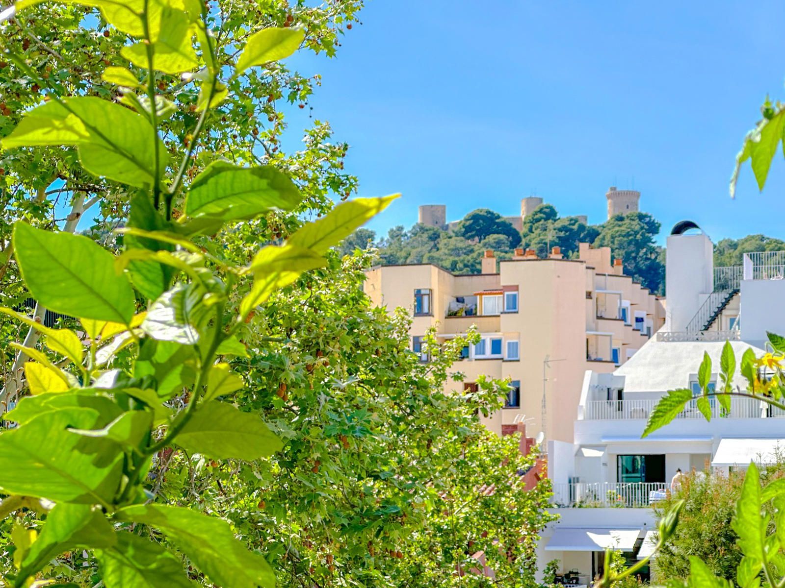 ESPECTACULAR APARTAMENTO CON VISTAS AL CASTILLO BELLVER