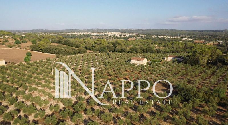 Heim zu verkaufen Llubí, Baleares. Ref: 3343. NAPPO REAL ESTATE