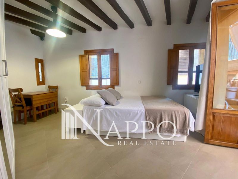 Wohnung zu vermieten Palma De Mallorca, Baleares. Ref: 4048. NAPPO REAL ESTATE