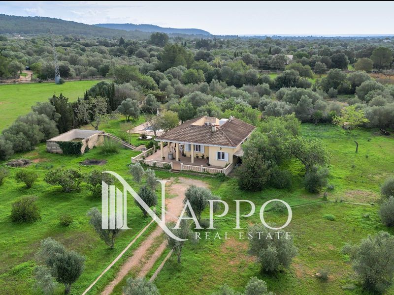 Freistehende Villa zu verkaufen Llucmajor, Baleares. Ref: 4160. NAPPO REAL ESTATE