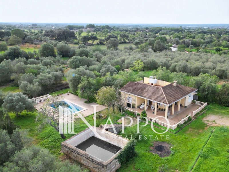 Chalet Independiente en venta Llucmajor, Baleares. Ref: 4160. NAPPO REAL ESTATE