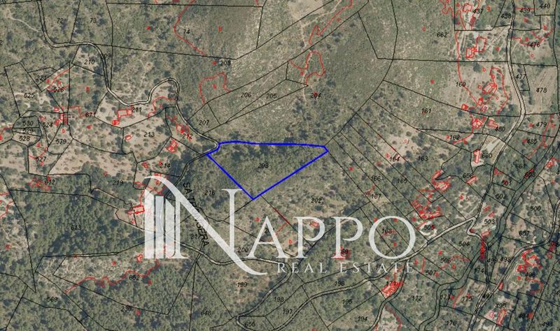 Grundstück zu verkaufen Andratx, Baleares. Ref: 4168. NAPPO REAL ESTATE