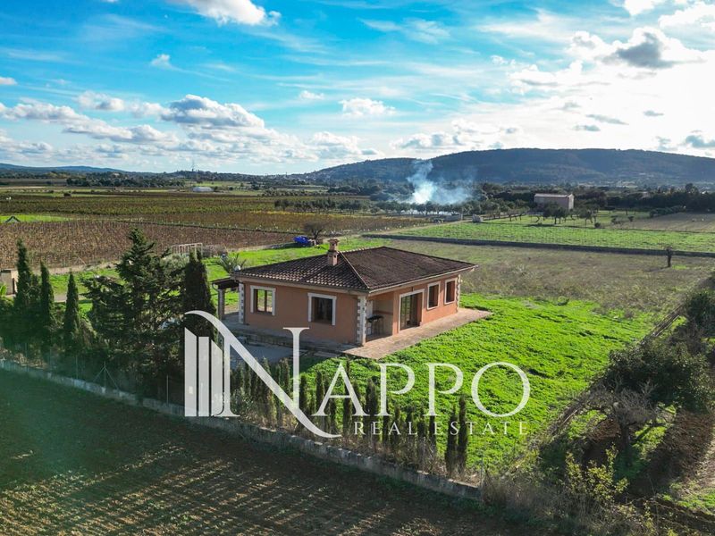 Casa en venta Sencelles, Baleares. Ref: 4196. NAPPO REAL ESTATE