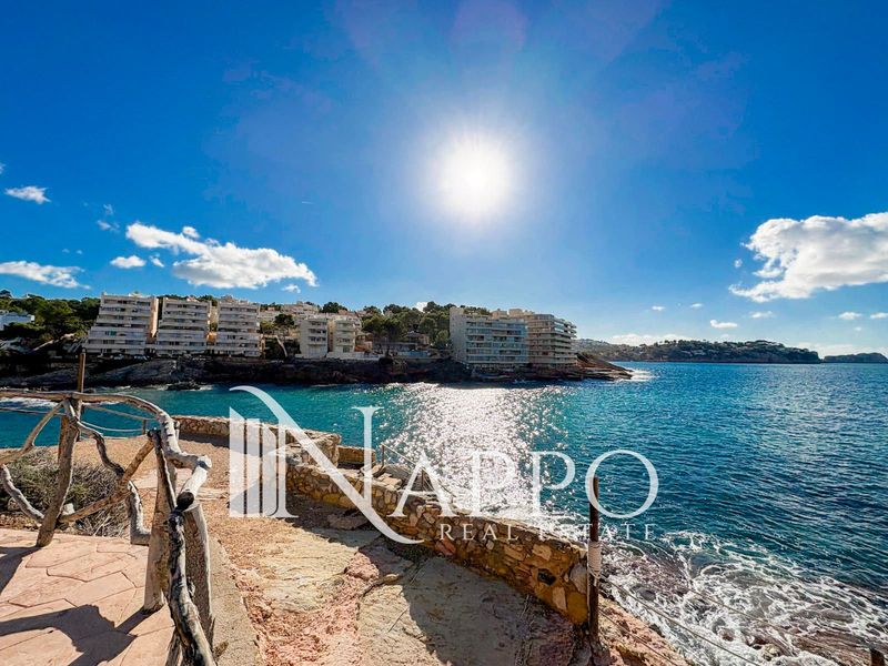 Piso en venta Calvià, Baleares. Ref: 4292. NAPPO REAL ESTATE