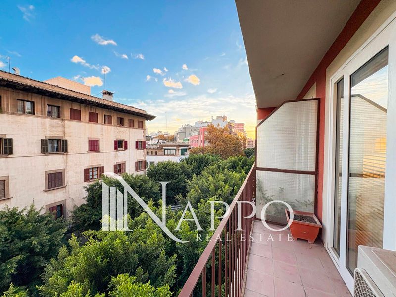 Piso en alquiler Palma De Mallorca, Baleares. Ref: 4316. NAPPO REAL ESTATE