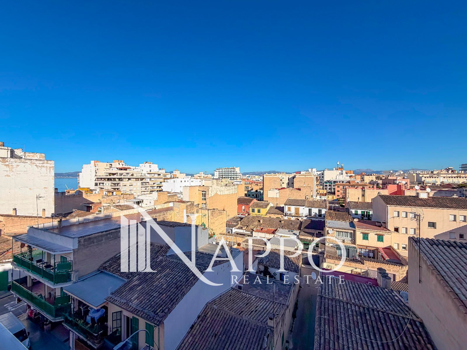 Imagen de galería 16