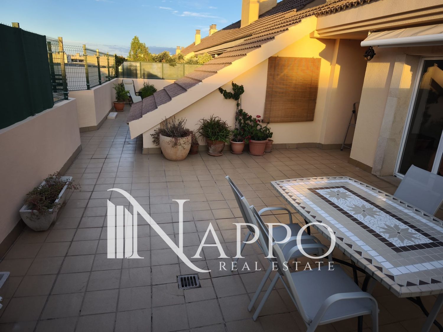 Imagen de galería 3