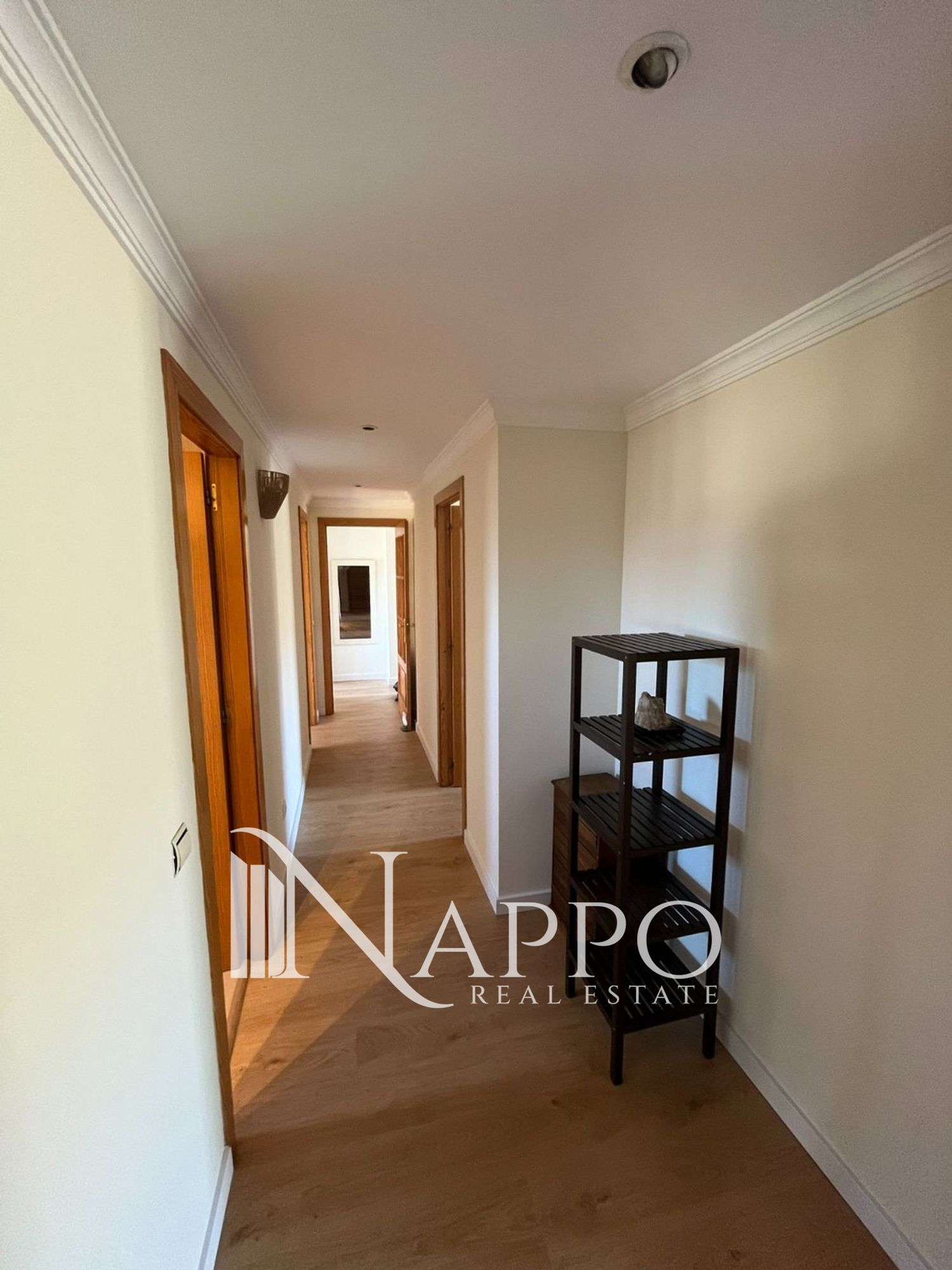 Imagen de galería 12