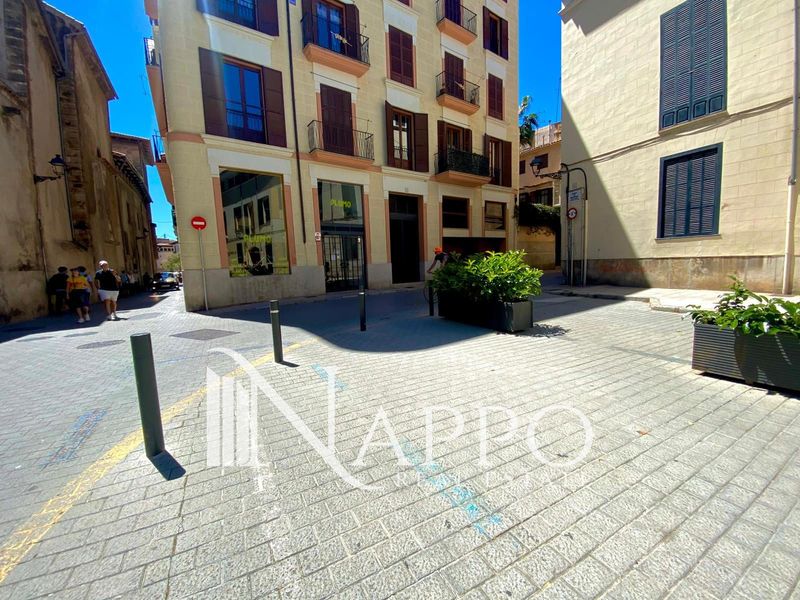 Flat for rent Palma De Mallorca, Baleares. Ref: 4984. NAPPO REAL ESTATE