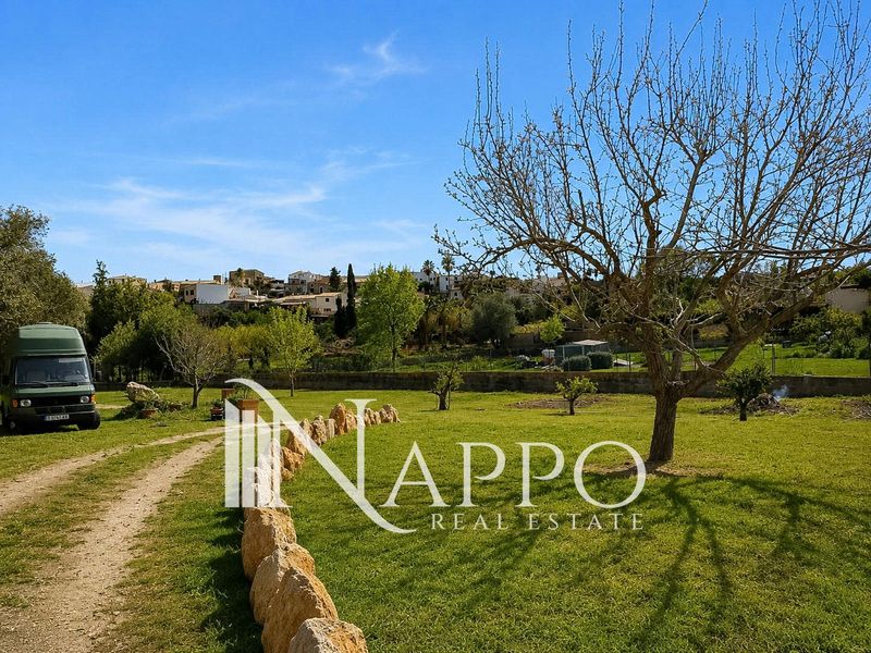 Parcela en venta y alquiler Palma De Mallorca, Baleares. Ref: 5091. NAPPO REAL ESTATE
