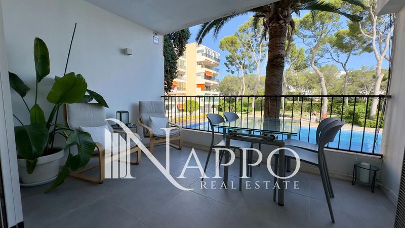 Flat for rent Calvià, Baleares. Ref: 5107. NAPPO REAL ESTATE