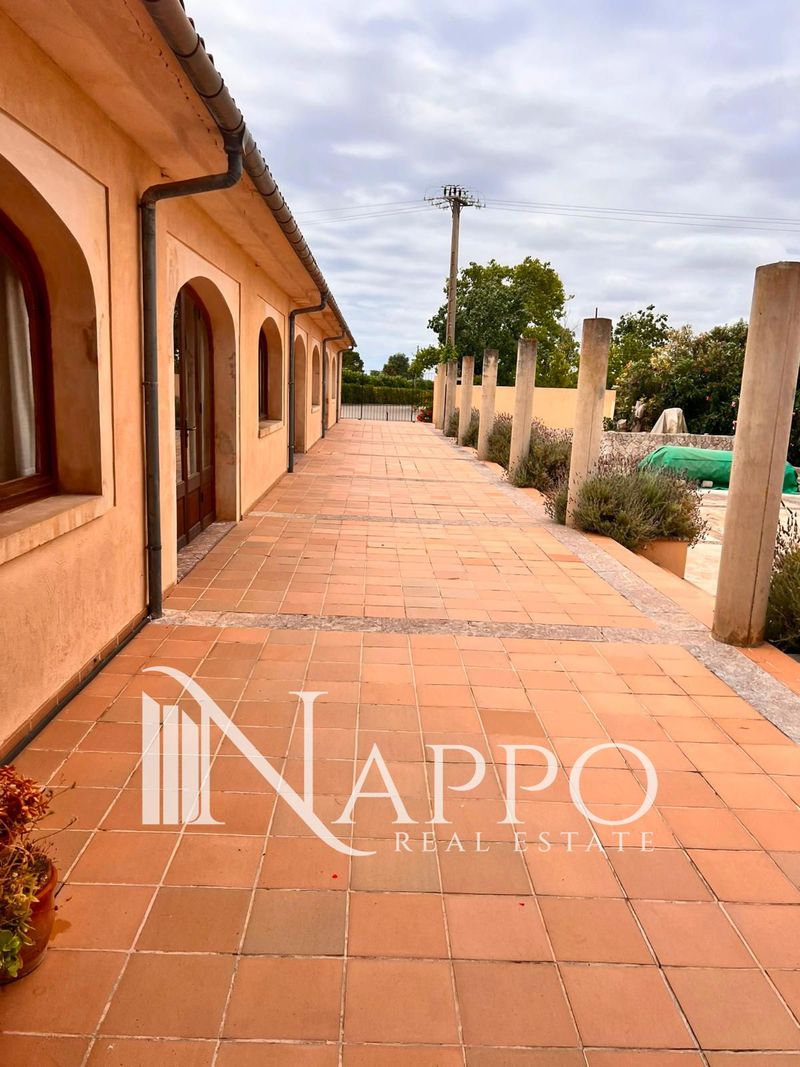 Comercial Premise for rent Arta, Baleares. Ref: 5113. NAPPO REAL ESTATE
