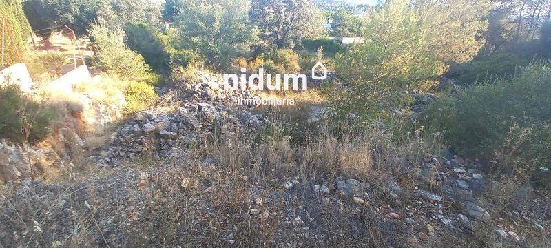 Parcela en venta Barxeta, Valencia. Ref: 1729. Inmobiliaria Nidum