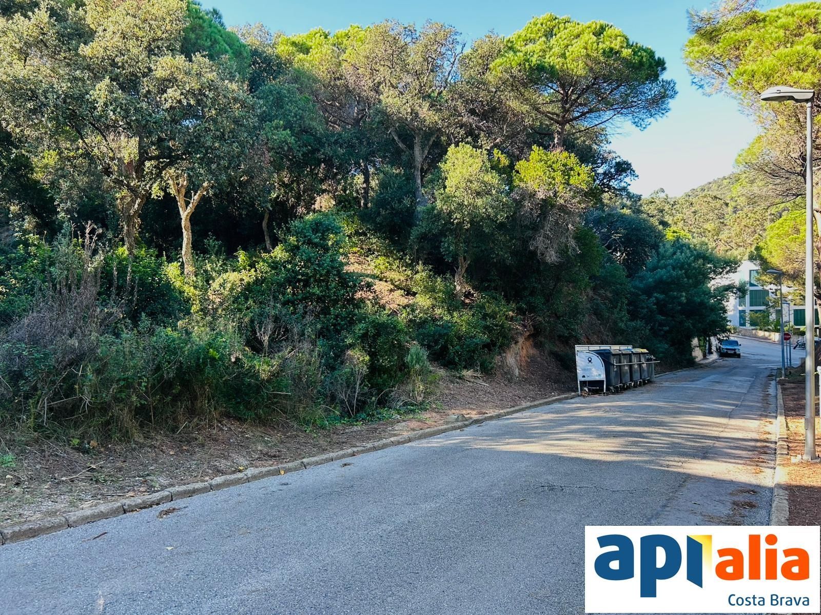 GRUNDSTÜCK ZUM VERKAUF IN DER WOHNSIEDLUNG ROSAMAR - Santa Cristina d'Aro (Costa Brava) - Foto 2