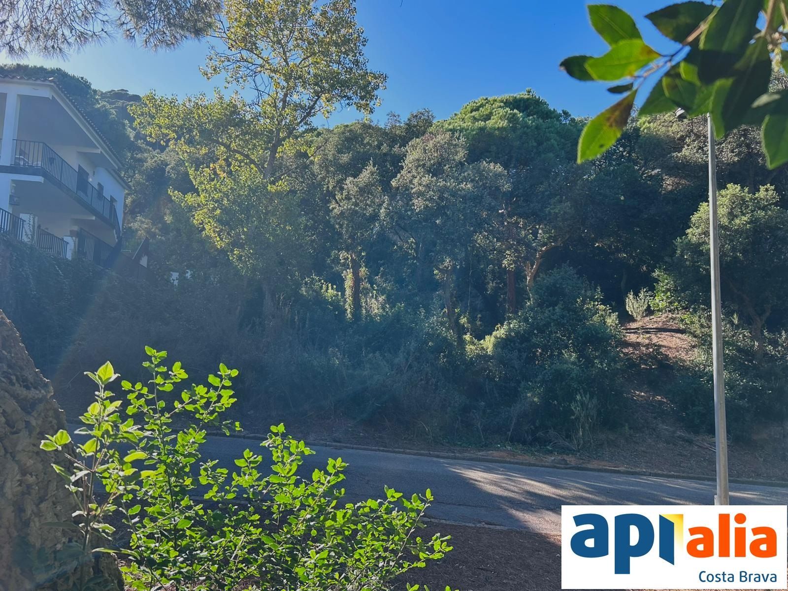 GRUNDSTÜCK ZUM VERKAUF IN DER WOHNSIEDLUNG ROSAMAR - Santa Cristina d'Aro (Costa Brava) - Foto 3