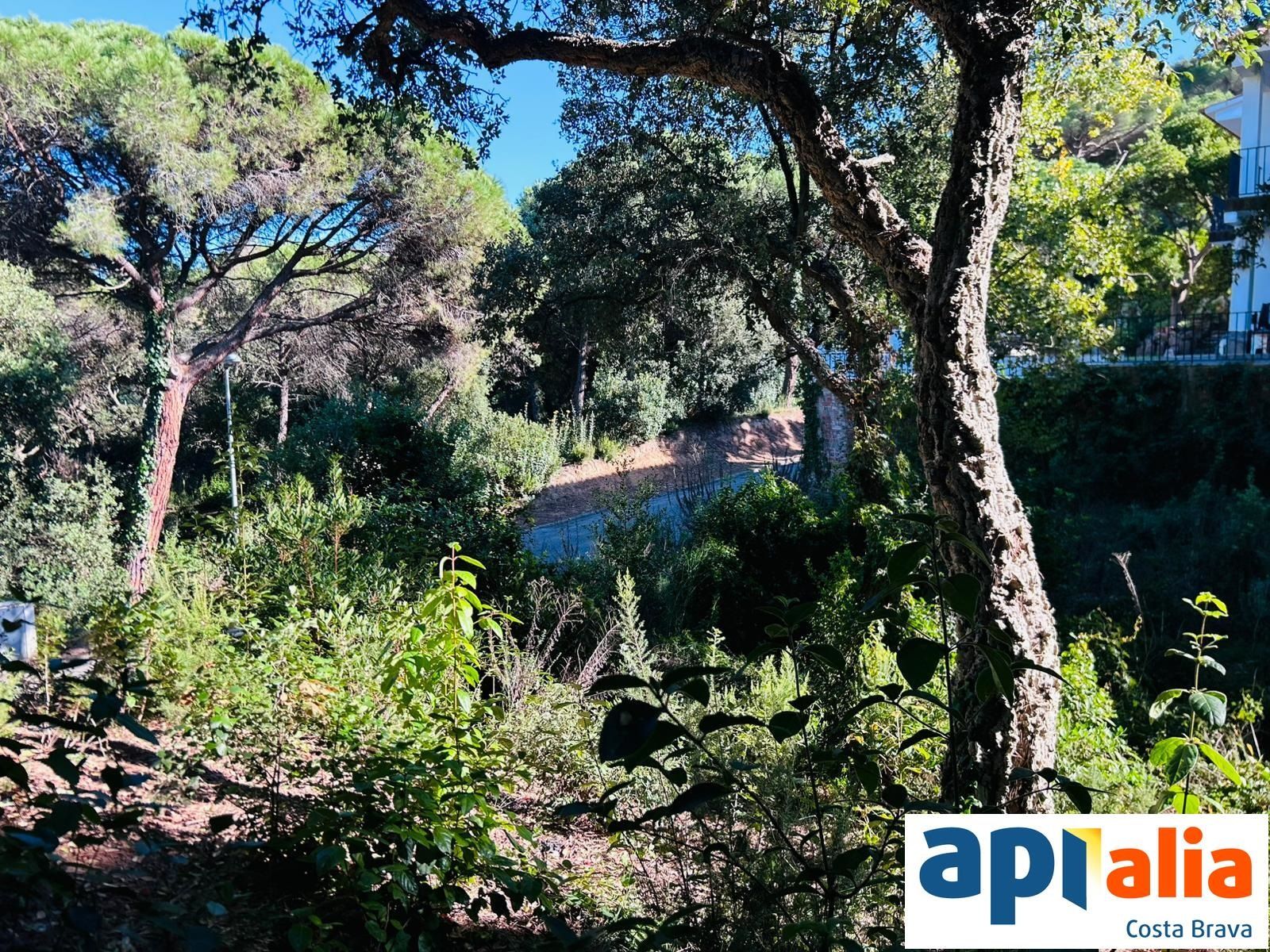 GRUNDSTÜCK ZUM VERKAUF IN DER WOHNSIEDLUNG ROSAMAR - Santa Cristina d'Aro (Costa Brava) - Foto 4