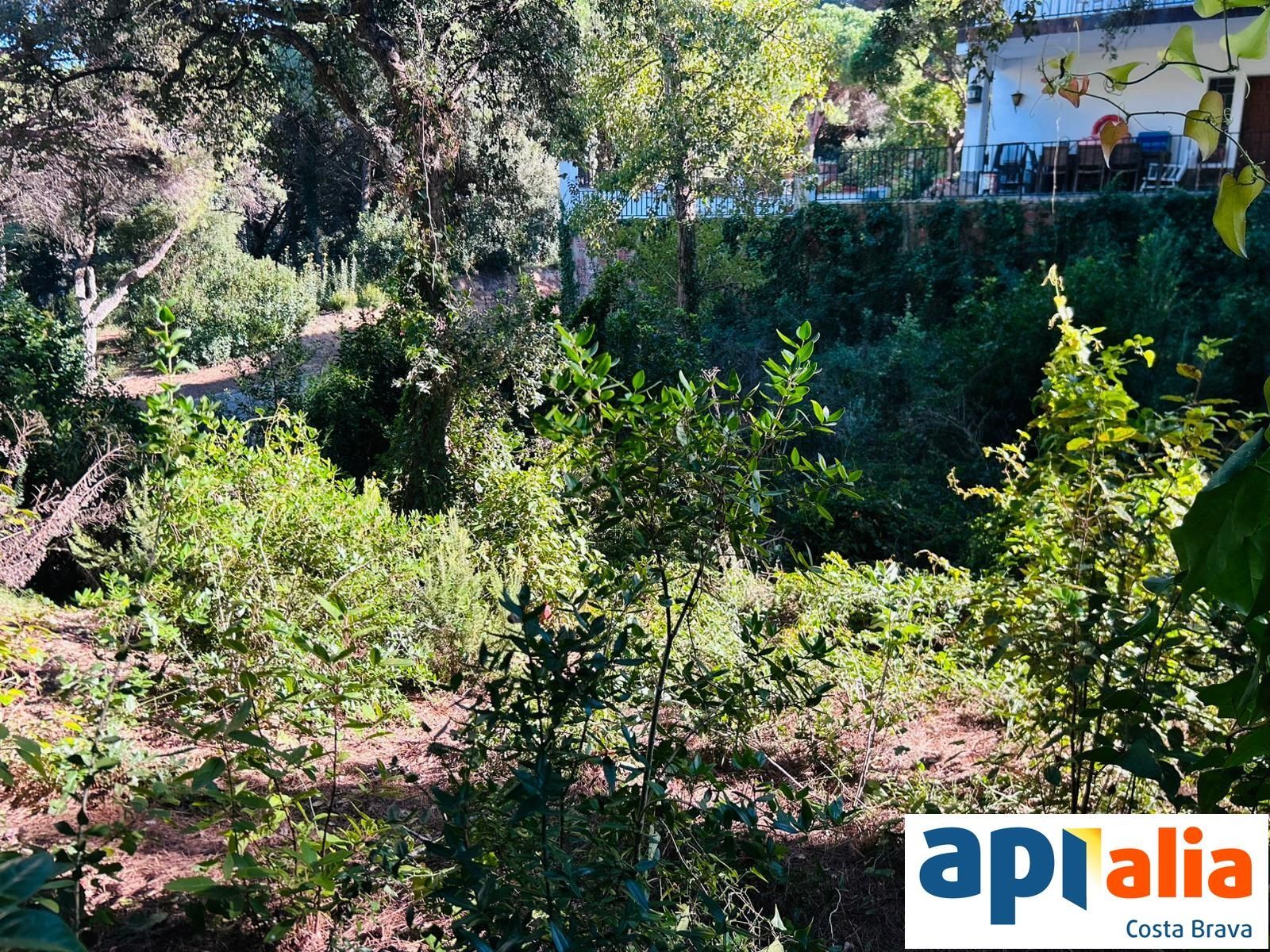 GRUNDSTÜCK ZUM VERKAUF IN DER WOHNSIEDLUNG ROSAMAR - Santa Cristina d'Aro (Costa Brava) - Foto 5