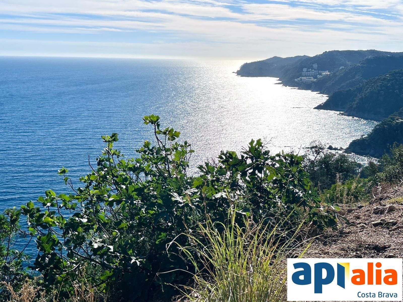 GRUNDSTÜCK ZUM VERKAUF IN DER WOHNSIEDLUNG ROSAMAR - Santa Cristina d'Aro (Costa Brava) - Foto 7