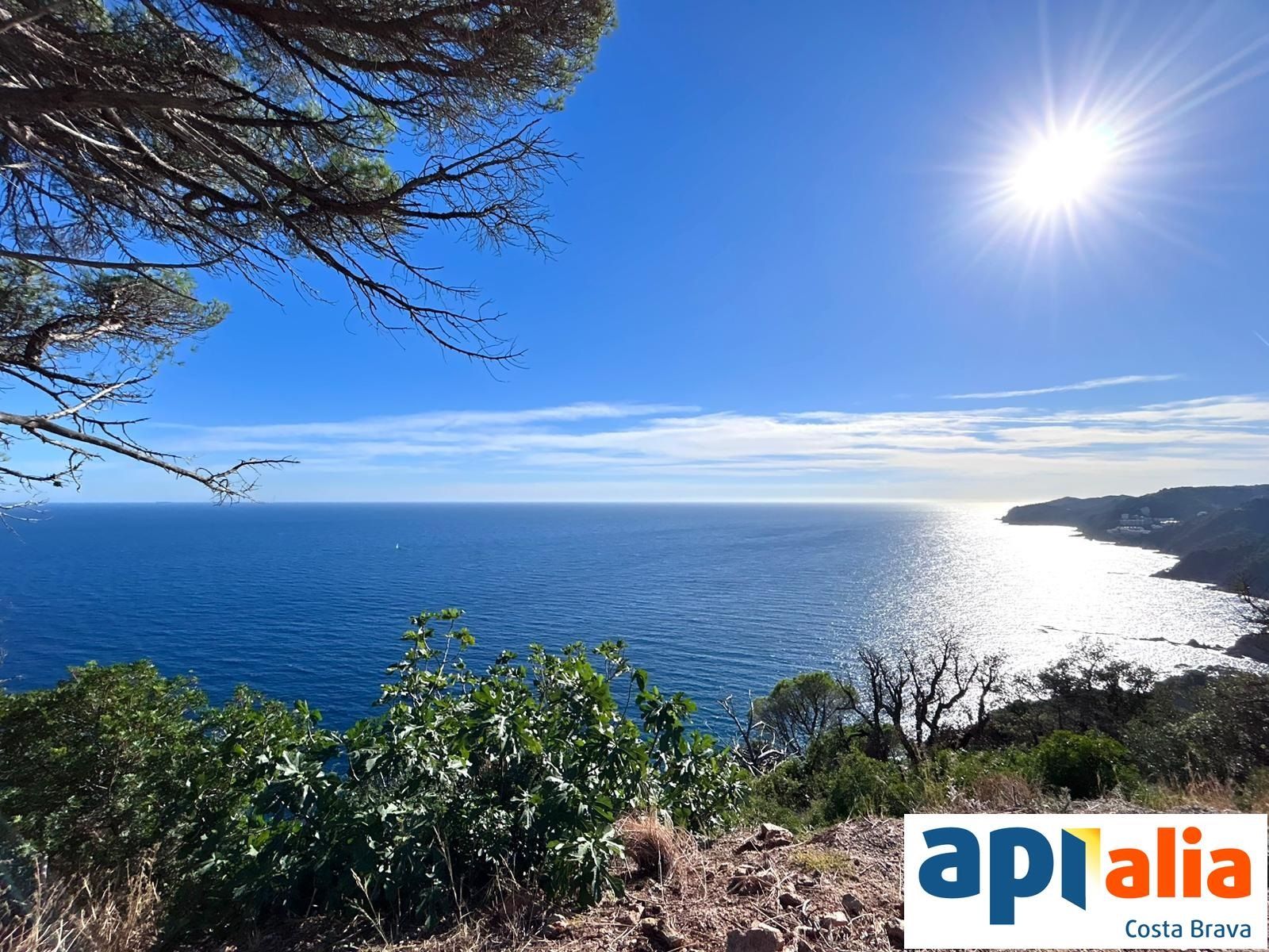 GRUNDSTÜCK ZUM VERKAUF IN DER WOHNSIEDLUNG ROSAMAR - Santa Cristina d'Aro (Costa Brava) - Foto 8