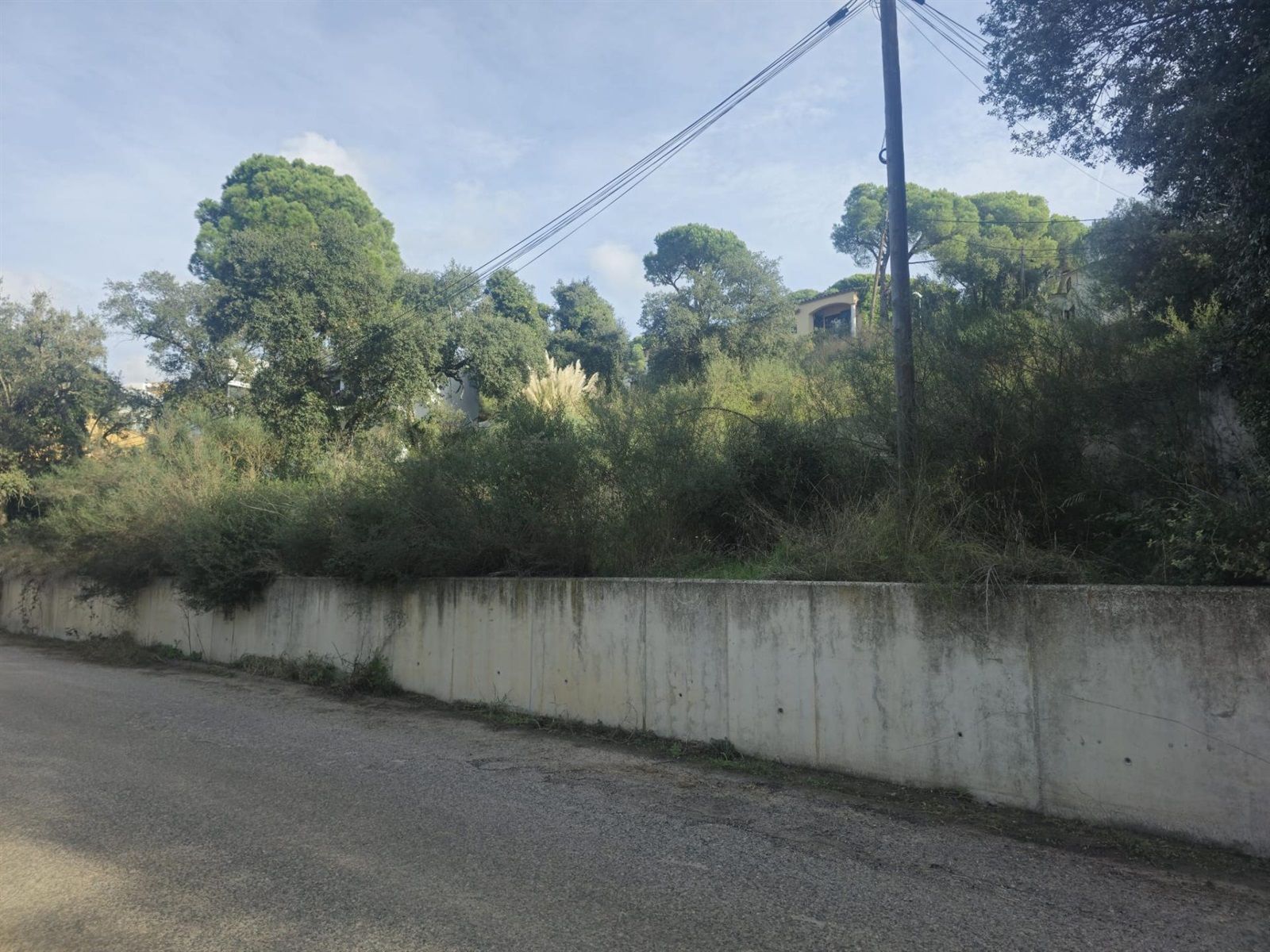Tomt till salu in Calonge, Girona - Foto 10