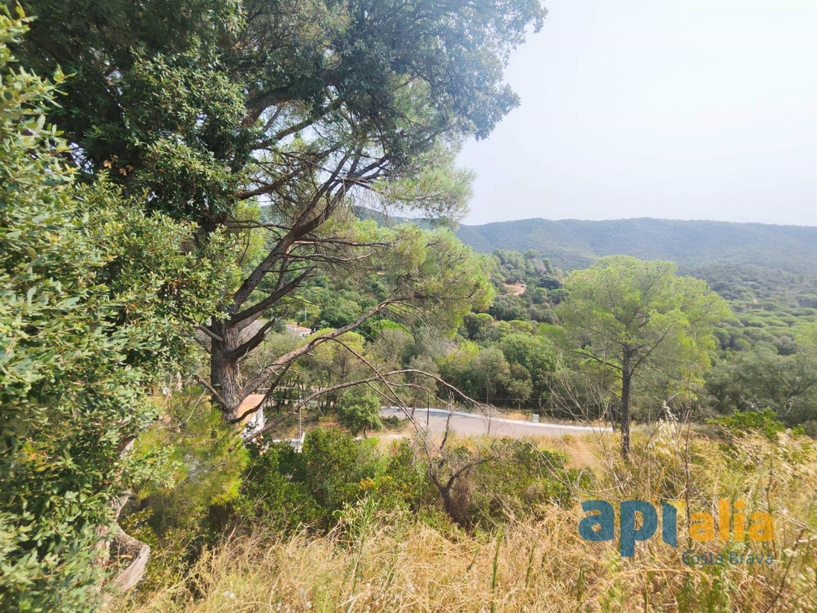 Tomt til salgs i Calonge, Girona - Foto 6