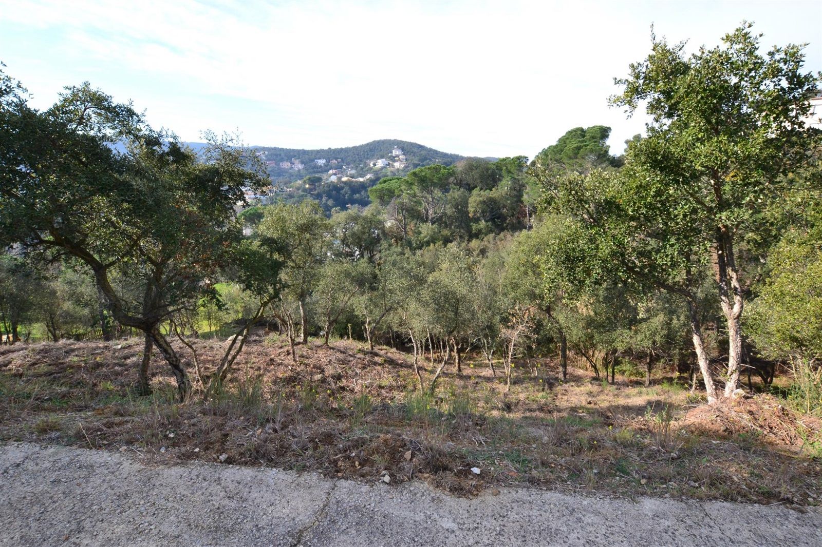 Perceel te koop in Calonge, Girona - Foto 2