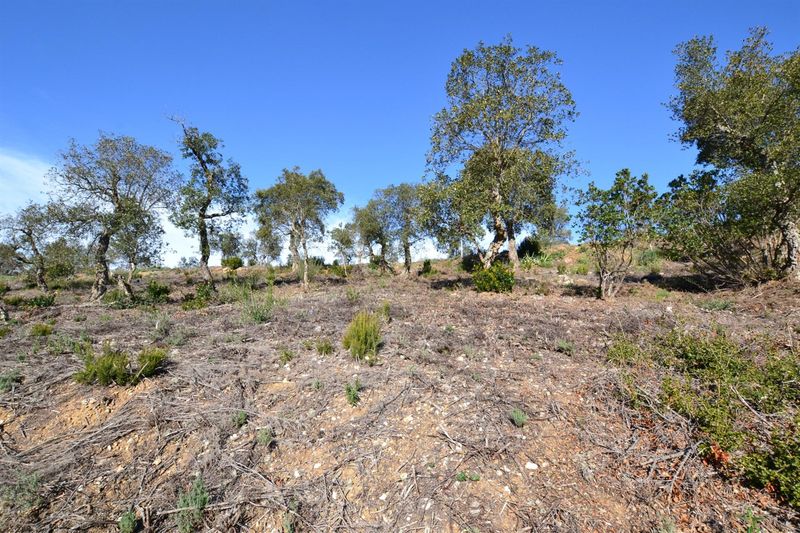 Parcela en venta Calonge, Girona. Ref: 3639. Habitaa