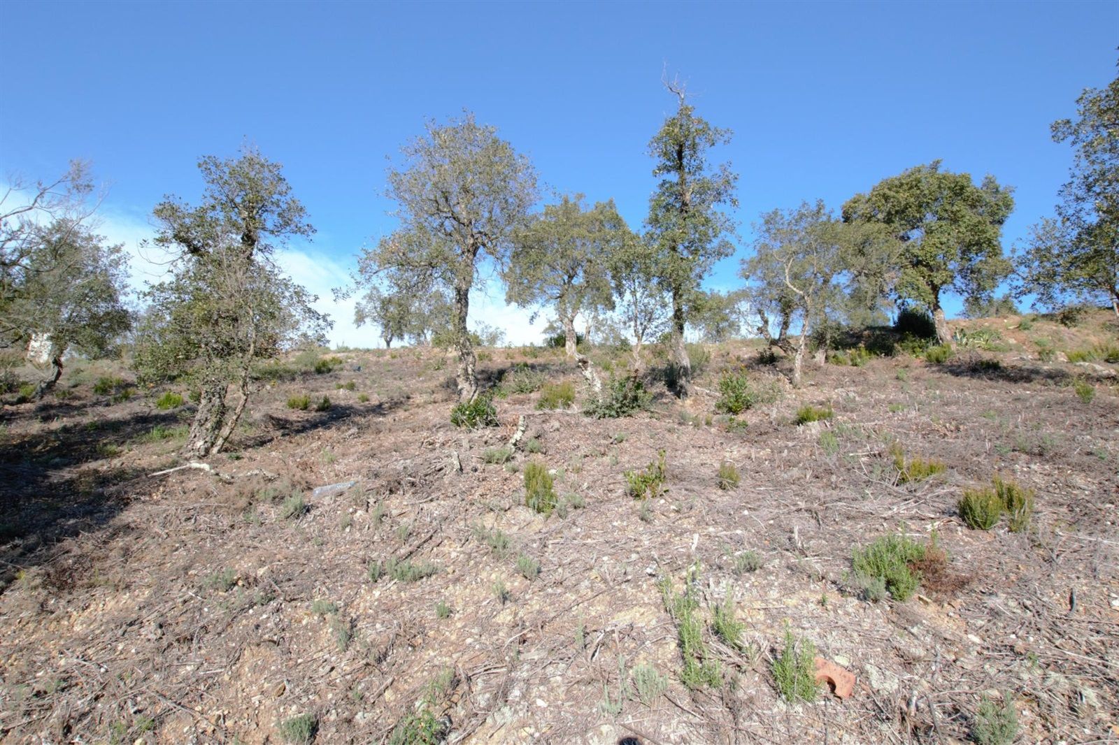 Terreno in vendita in Calonge, Girona - Foto 2