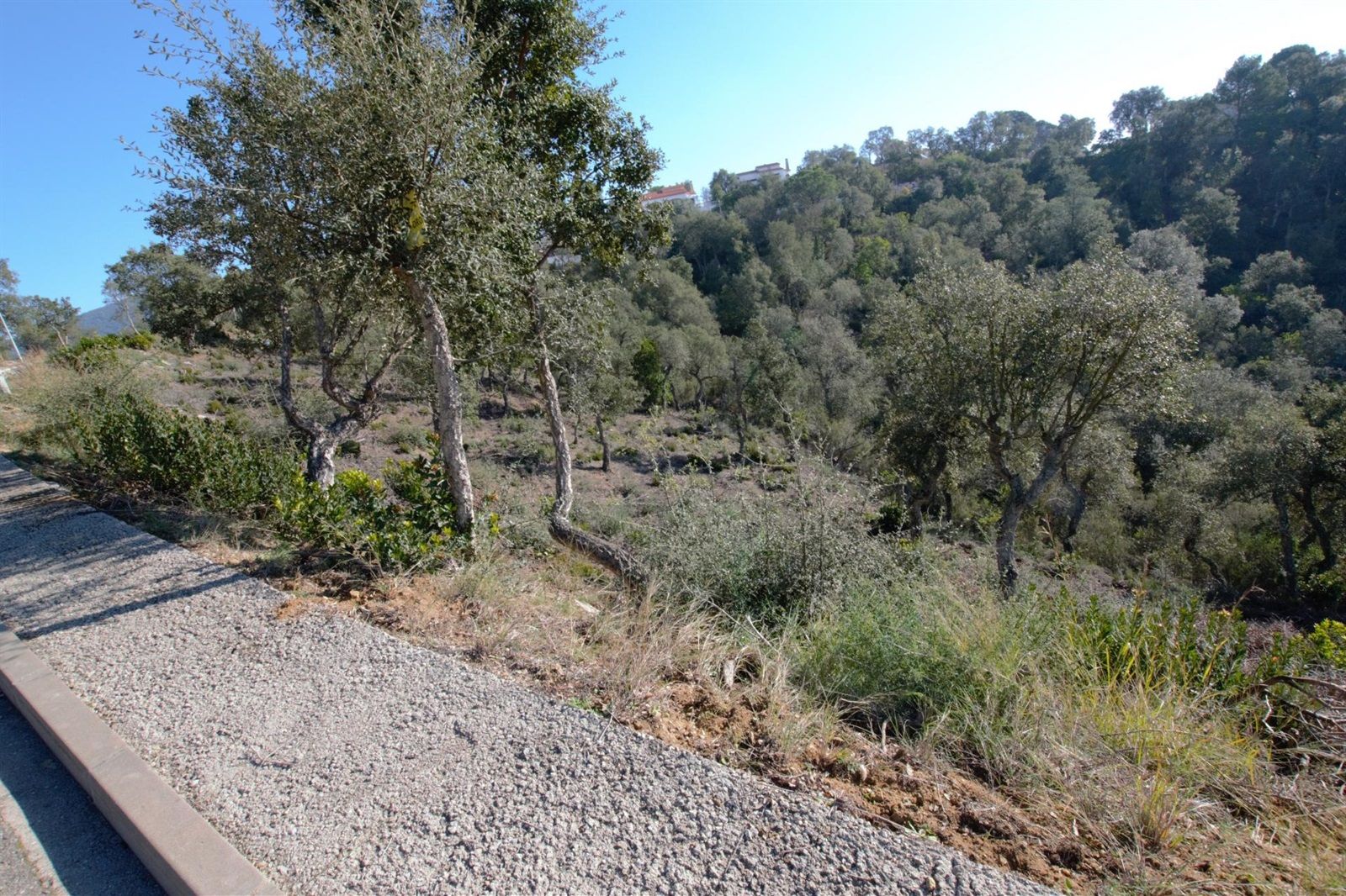 Terreno in vendita in Calonge, Girona - Foto 3