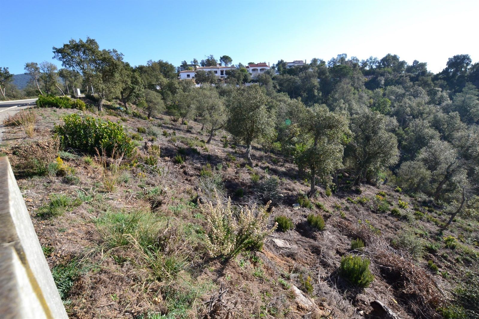 Terreno in vendita in Calonge, Girona - Foto 4