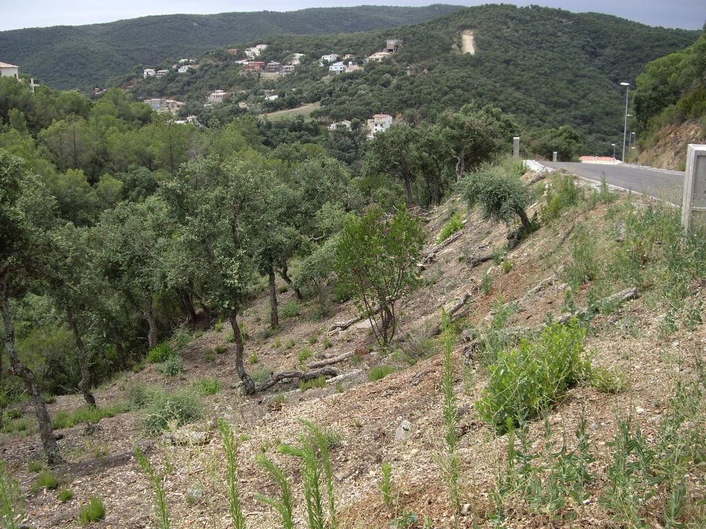 Terreno in vendita in Calonge, Girona - Foto 5