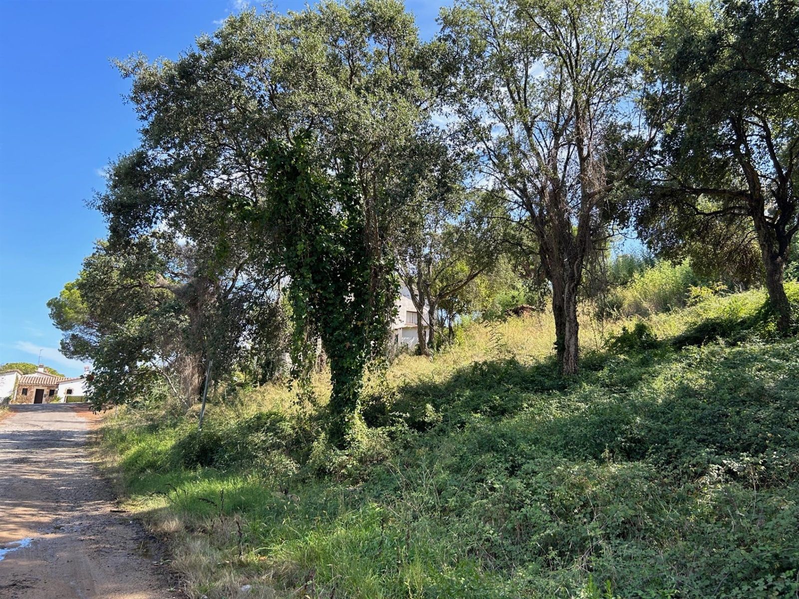 Plot for sale in Castell-Platja d'Aro, Girona - Foto 3