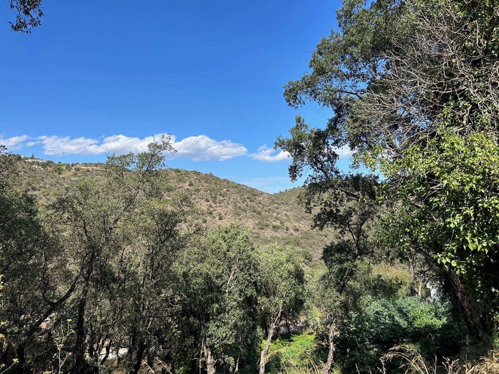 Plot for sale in Castell-Platja d'Aro, Girona - Foto 4