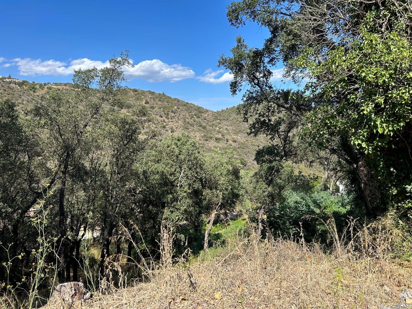 Plot for sale in Castell-Platja d'Aro, Girona - Foto 5