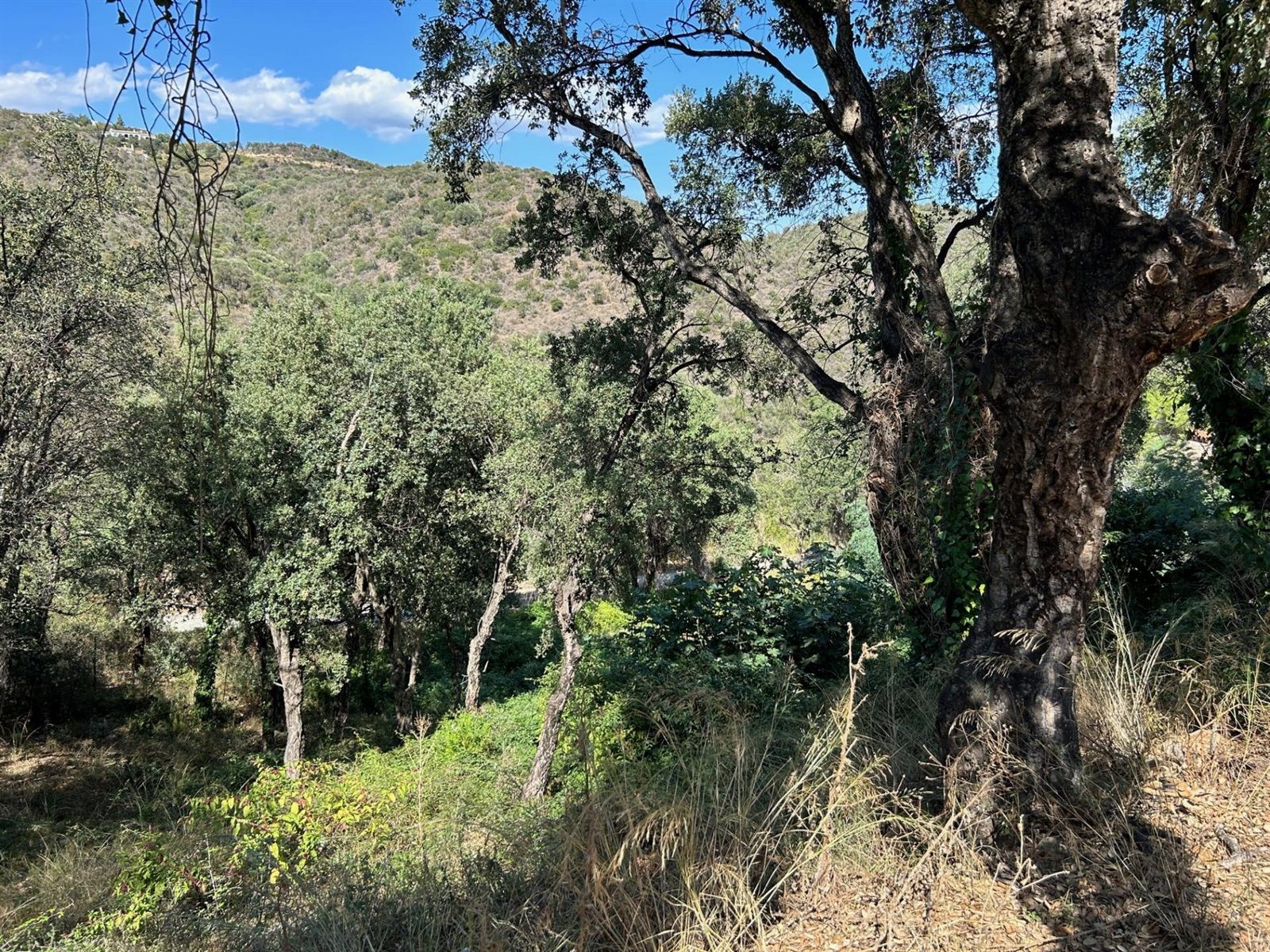 Plot for sale in Castell-Platja d'Aro, Girona - Foto 6