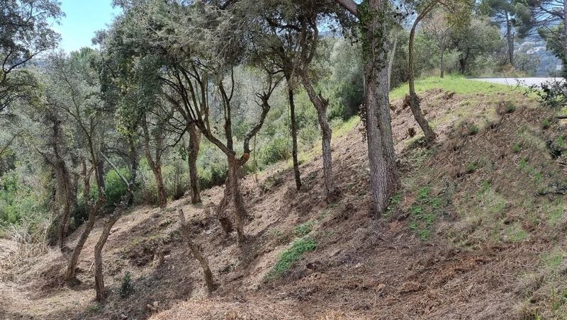 Parcela en venta Calonge, Girona. Ref: 3641. Habitaa