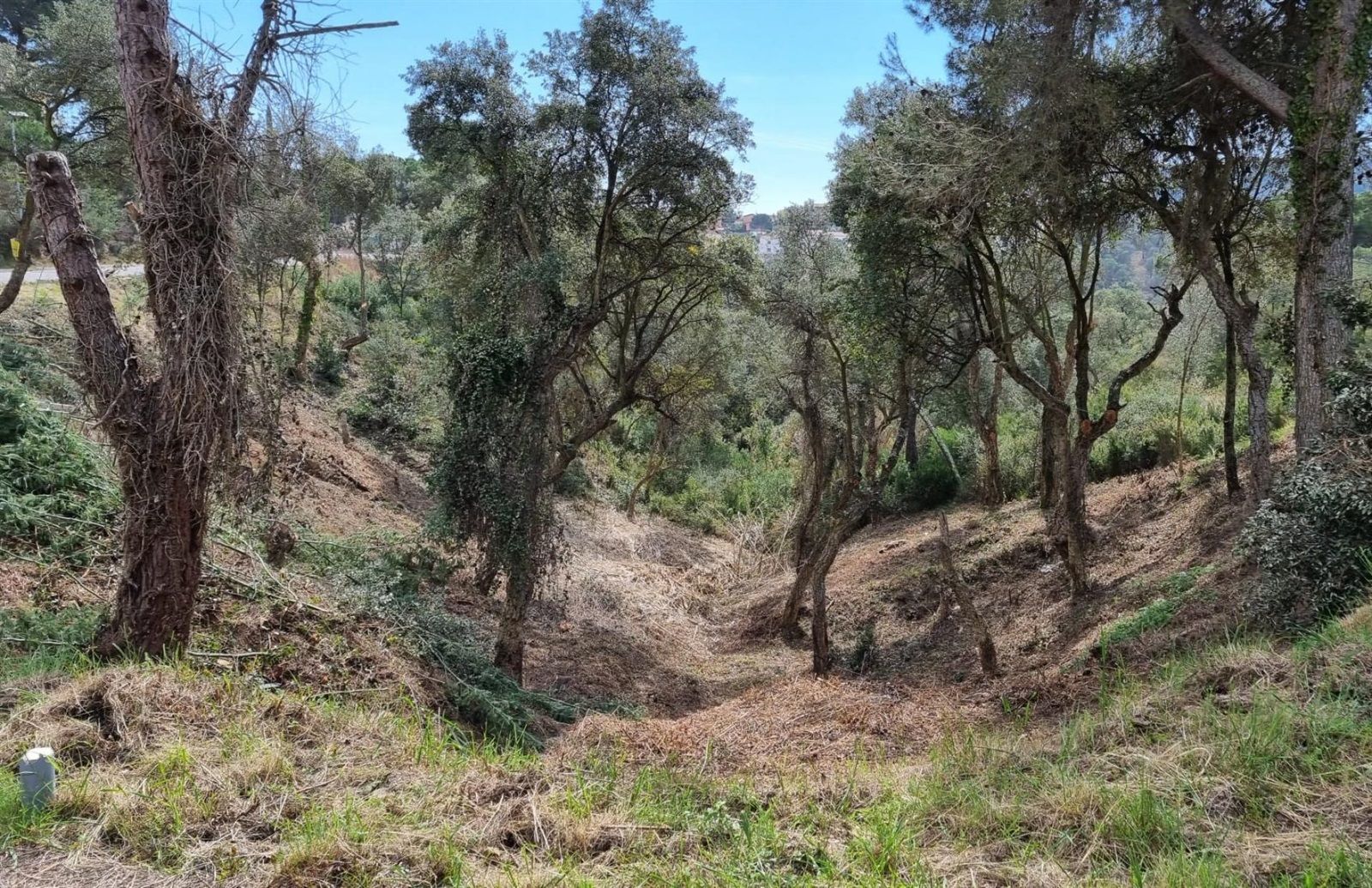 Parcela à venda en Calonge, Girona - Foto 3