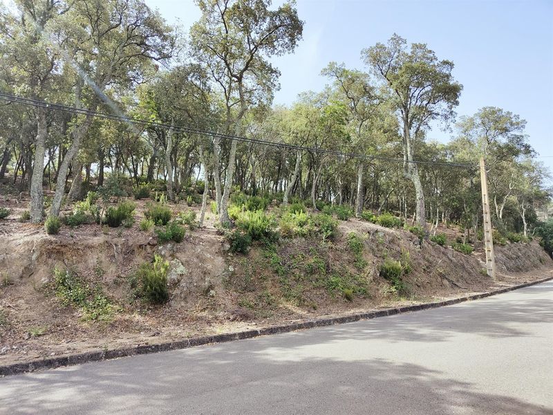 Parcela en venta Santa Cristina D