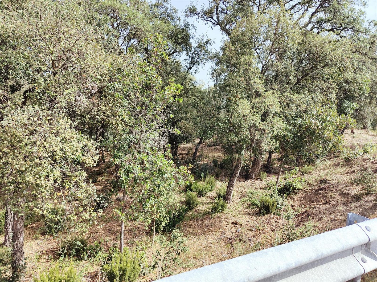 Tomt till salu in Santa Cristina D'Aro, Girona - Foto 3