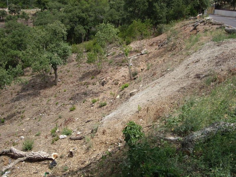 Parcela en venta Calonge, Girona. Ref: 3646. Habitaa