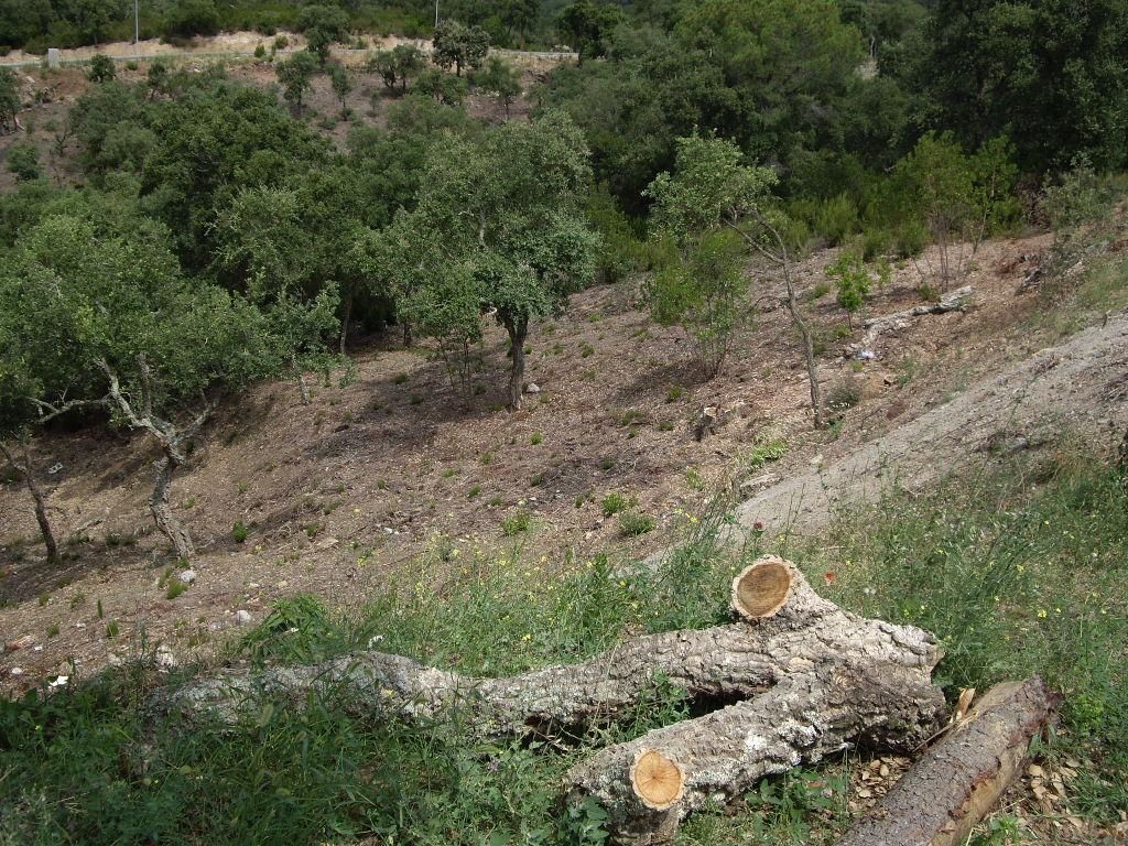 Perceel te koop in Calonge, Girona - Foto 2