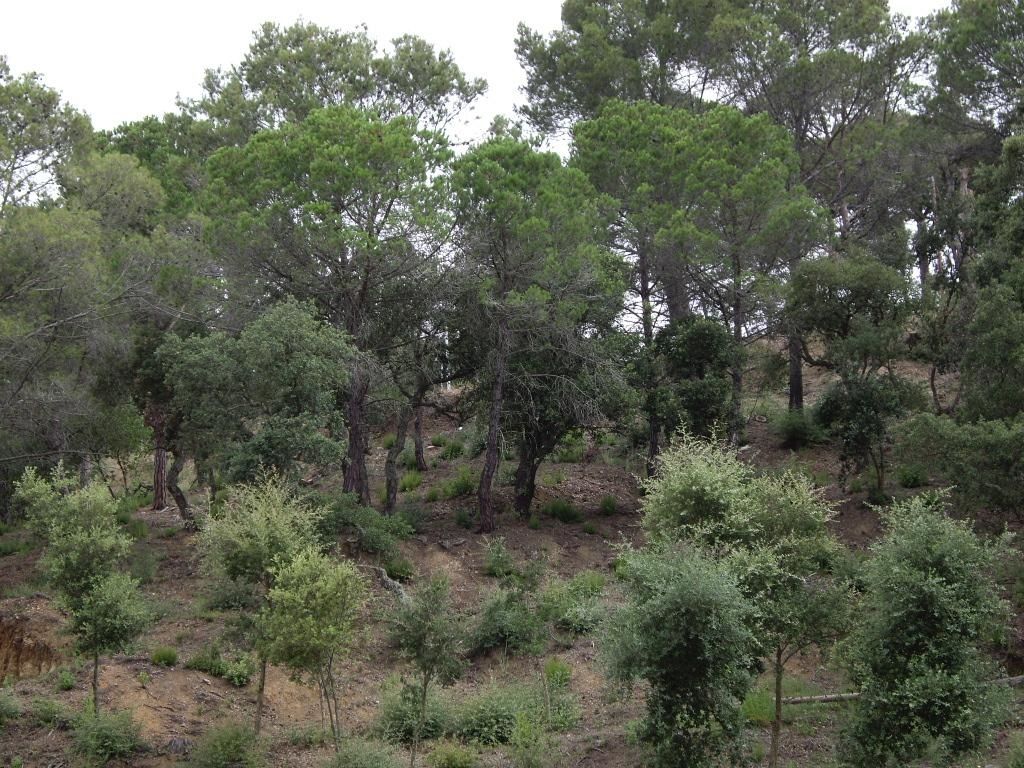 Perceel te koop in Calonge, Girona - Foto 1